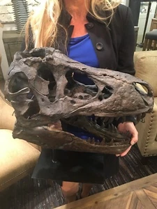 New Large Prehistoric Tyrannosaurus Skull DECOR Sculpture Uttermost 19948 - Picture 1 of 13