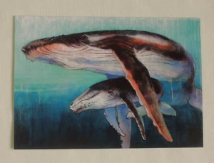 1x Postkarten WAL mit Baby  Loes Botman Tiere 10,5x 15 cm Kunst (A2 Wale Fische - Bild 1 von 2