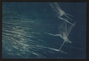 Disney Fantasia - Die Nussknacker Suite Postkarte -2 - Bild 1 von 2