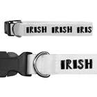 'Irish Text' Dog Collars (PR016482)