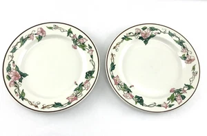 Set of Two  Villeroy & Boch Florida Salad Plates 8 1/4" Iris FLoral Decor EUC - Picture 1 of 8