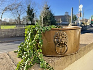 VINTAGE BRASS SHALLOW PLANTER PLANT POT OR CACHEPOT STAND LIONS HEAD HANDLES - Picture 1 of 14
