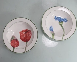 2 Suppenteller Salatteller 20 cm Villeroy & Boch Flora tiefe Teller - Bild 1 von 3