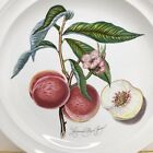 Vintage Portmeirion Pomona Grimwoods Royal George Peach 10.5? Dinner Plate
