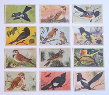 1920's D39-2a Gordon Bread California Birds Recipe Lot of 12 different