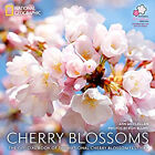 Cherry Blossoms : The Official Book of the National Cherry Blosso