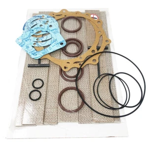 Kit de reconstrucción de bomba de vacío National Vacuum Equipment Challenger 607 sin rodamientos... - Imagen 1 de 1