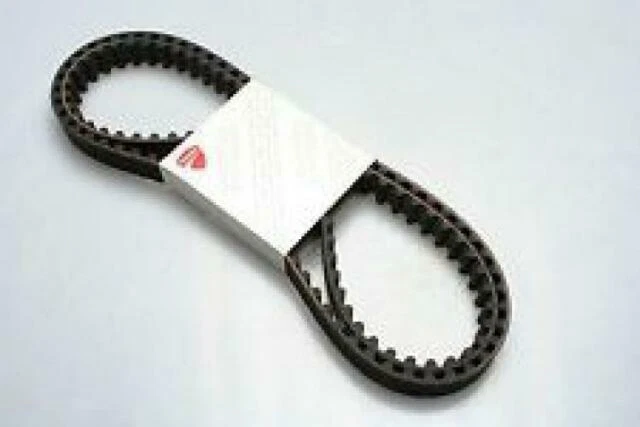 Ducati 73710051A Cinghia Distribuzione