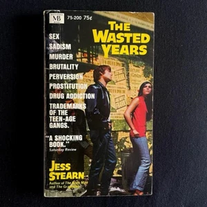 Jess Stern - The Wasted Years - Macfadden Books - 1968 Pulp - Picture 1 of 3