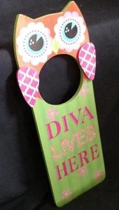 Letrero de dormitorio de niñas Owl Diva Lives Here de madera rosa y verde - Imagen 1 de 2