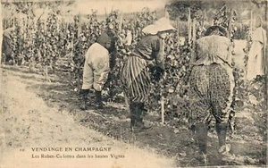 C.P.A / THÈME / les vendanges en champagne - Imagen 1 de 2