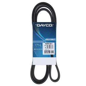 Cinghia Poly-V Dayco Ausiliaria per Bmw Serie 1 Serie 3 Serie 5 X1 X3 6DPK1817 - Imagen 1 de 2