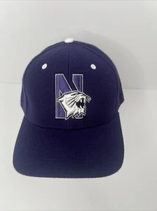 Northwestern Wildcats College Hat NCAA Baseball Cap  Men Fitted 7 5/8 Zephyr - Picture 1 of 3