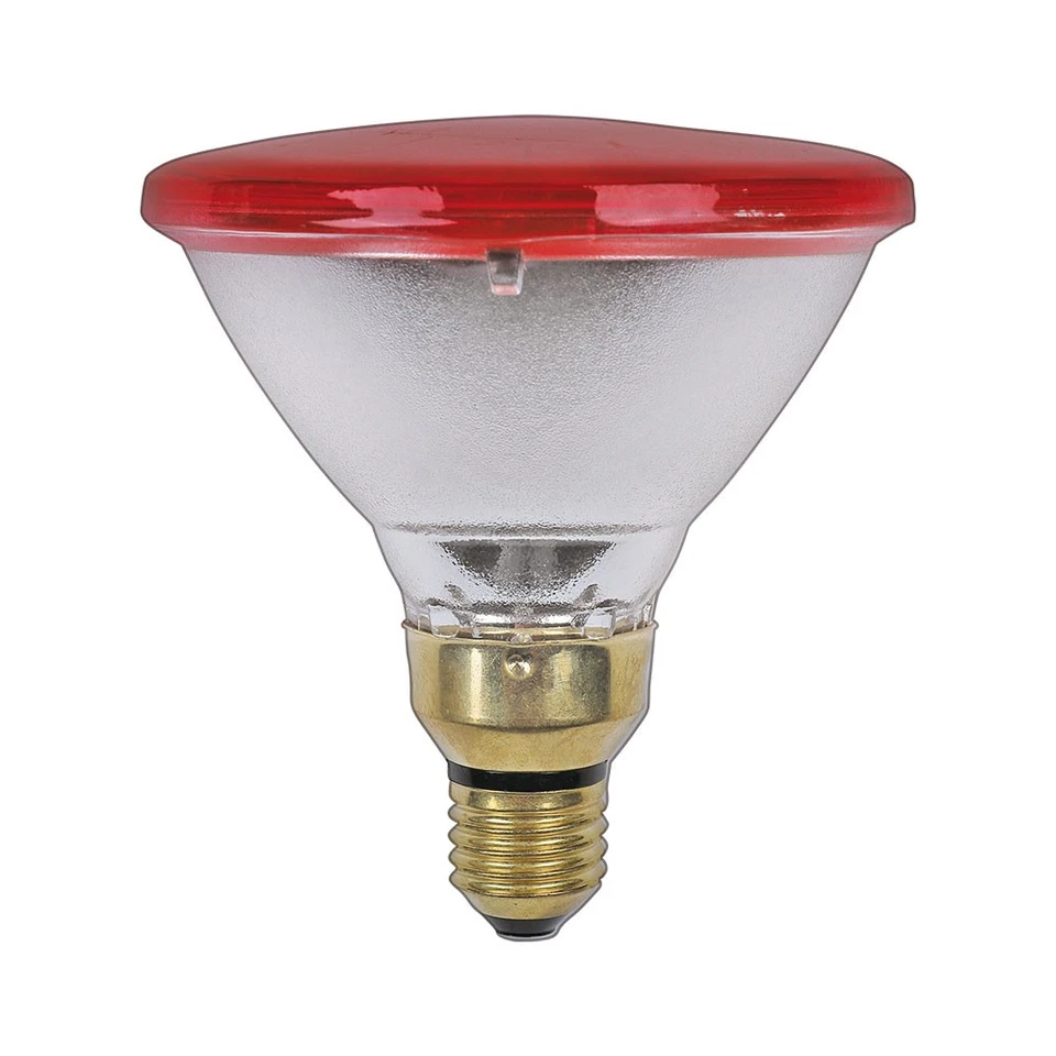 Infrarot Pressglas Reflektor PAR38 175W E27 Rot Glühbirne Glühlampe Dimmbar 60° - Bild 1 von 1