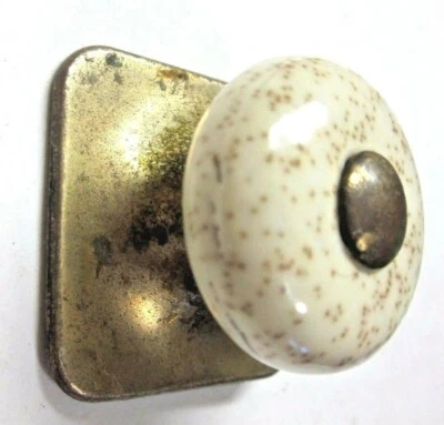 Keeler N11857 KBC Avena Beige Porcelana Perilla Latón Cuadrada Placa Trasera 1 MCM Foto 1 de 4