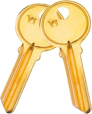 100 PACK 5YA1 KEY BLANKS FOR LOCKSMITH FITS Y1 KEY SET BRASS FINISH Y1 KEY BLANK - Image 1 of 4