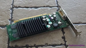 Tarjeta de video NVIDIA Quadro P283 PCIe DMS 59 HP 396683-01 - Imagen 1 de 5
