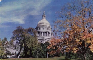 Vintage US Kapitol Building blauer Himmel Washington DC Postkarte - Bild 1 von 2