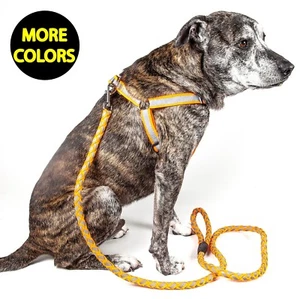 Reflective Stitched Easy Tension Adjustable 2-in-1 Pet Dog Leash and Harness - Picture 1 of 4