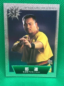 JADO Japan pro wrestling BBM Card  Sparkling Fighters 1997 - Picture 1 of 2