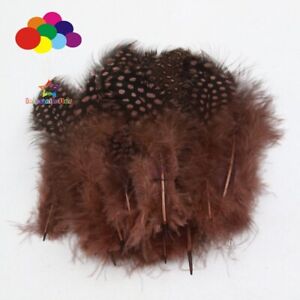 100 pcs Natural Plumes Guinea Pearl Feathers Headdress Decor Jewelry Creation