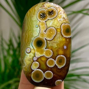 50G Natural Gobi Agate Eye Agate/Crystal PalmStone Madagascar - Picture 1 of 16