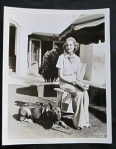 Elizabeth Allan Metro-Goldwin-Mayer  Photo ancienne MC-48115  Années 30 MGM - Picture 1 of 5