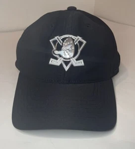 NWT Anaheim Ducks Arena Exclusive Black Silver Logo SnapBack Hat Zephyr - Picture 1 of 7