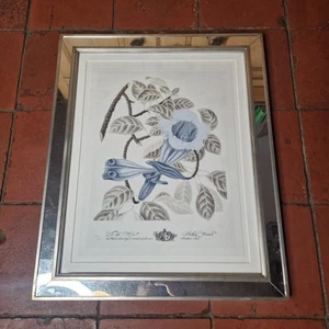 Trowbridge Gallery Impresión Botánica Flores Imperiales Azul Y Gris Enmarcado 19 X 23 - Imagen 1 de 24