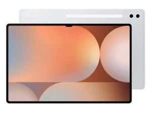 Samsung Galaxy Tab S10 Plus 256GB Moonstone Gray Unlocked Excellent Condition - Picture 1 of 8
