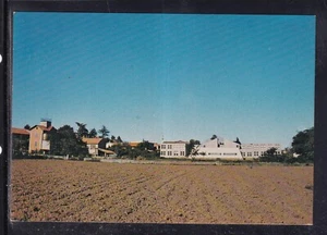 Cartolina Cardano al Campo Via XX Settembre Scuole Elementari CA750 - Foto 1 di 1