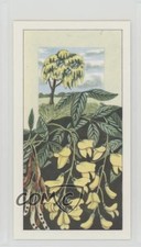 1968 Ringtons Fruits of Trees and Shrubs Tea Laburnum #21 z6d