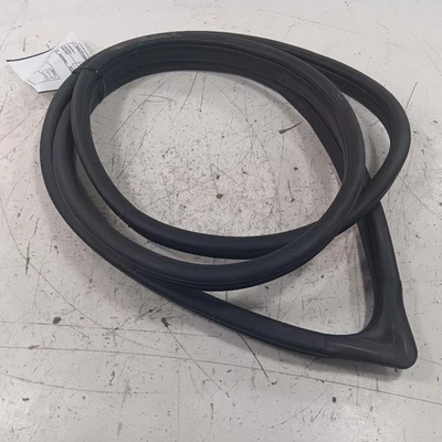 Hyundai Elantra On Body Door Jamb Seal Front Right Passenger  2017 2018 2019 202 - Image 1 of 4