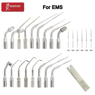 Woodpecker Dental Ultrasonic Scaler Tips Endo Root Canal U File EMS E1 E3 E5 E14 - Image 1 of 4