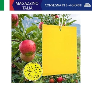 50 Pezzi Trappole Appiccicose Ciliegio, Mosche Dell'olivo Trappola per Insetti p - Foto 1 di 8