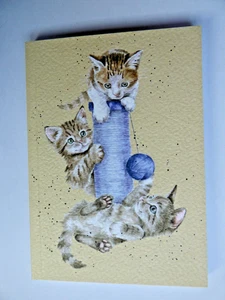 Beautiful WRENDALE A6 Paperback Notebook -"Three’s a crowd” 3 kittens and wool" - Picture 1 of 1