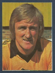 AVA AMERICANA - FOOTBALL SPECIAL 79 - #327-WOLVERHAMPTON WANDERERS-DEREK PARKIN - Picture 1 of 1
