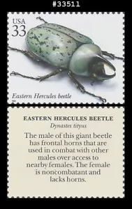 USA3 #3351l MNH Insectos y Arañas Esterna Hércules Escarabajo - Imagen 1 de 1