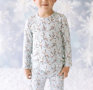 Posh Peanut ☃️ Disney Frozen Olaf Classic LS Tee Shirt Top Size 5/6 NWT - Picture 1 of 2
