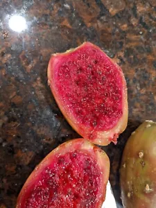 Seeds- Rare Edible Cactus Indian Fig & Golden Dragon Fruit- Fun to Grow - Picture 1 of 19