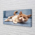 Tulup Leinwandbild 140x70 Wandkunst liegend Katze
