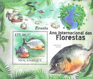 W MOZAMBIQUE 2201 INTERNATIONAL FORESTS YEAR FISHES - Picture 1 of 1