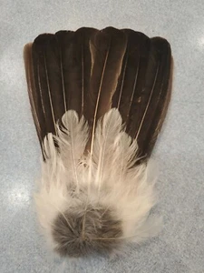 X Eurasian Jay Bird Full Tail Feathers JB20 - Imagen 1 de 2