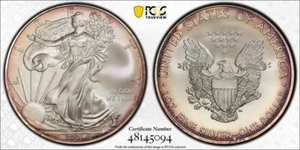 2009 American Silver Eagle - Uncirculated - Ultraviolet Eagle Label - MS69 - Picture 1 of 3