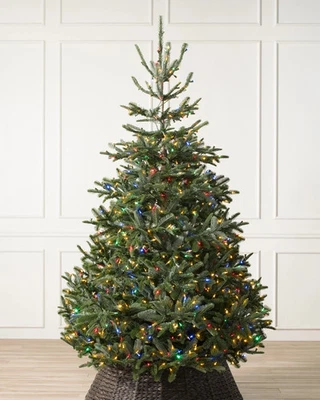 Balsam Hill Nordmann Fir Christmas Tree PreLit LED Colour + Clear Lights ( 4ft ) - Image 1 of 4