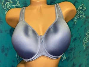 Wacoal Basic Beauty Spacer Underwire Blue 853192 Smooth Cup T Shirt Bra 38D - Picture 1 of 6