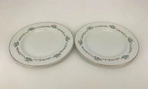 Pair Johnson Bros England Snow White 6.25” Floral Bread And Butter Plates - Rare - Picture 1 of 12