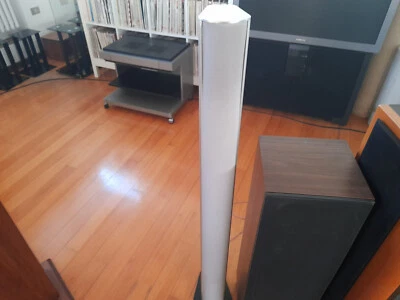 PIEGA LOUDSPEAKERS MOD. S4 XL SILVER. - Immagine 1 di 4