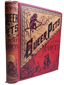 Antique Ornate Fancy Embossed Gilded Victorian Book QUEER PETS AT MARCY'S 1880 - Picture 1 of 23