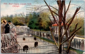 Postcard Bear Cages Lincoln Park Chicago IL Zoo - Picture 1 of 2